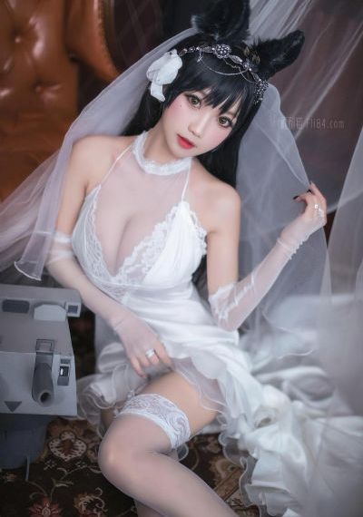 巡回检察组1-43集免费_国语迅雷下载